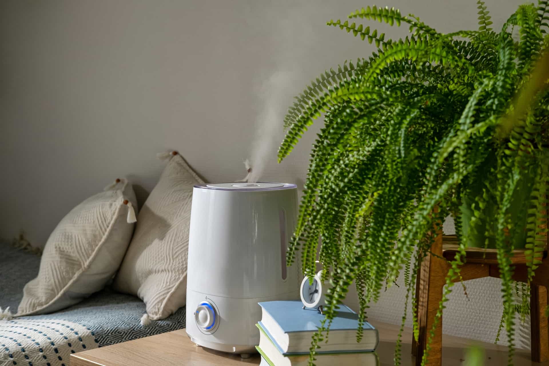 humidifier