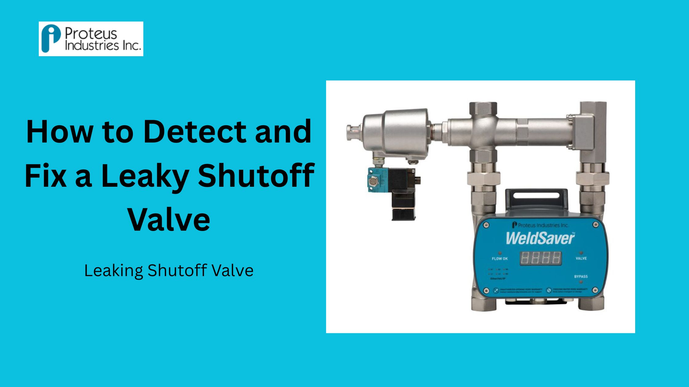 Leaking Shutoff Valve